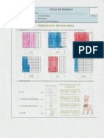 Números Decimales (Tarea)