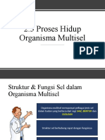 2.3 Proses Hidup Organisma Multisel