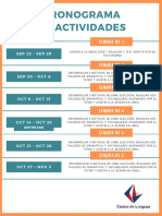 Cronograma de Actividades 2020 PDF