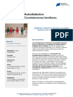 programa-co-iniciacion-constelaciones-familiares (1).pdf