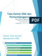 Tata Kelola SDM Dan Perkembangannya