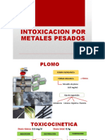 Intoxicacion Por Metales