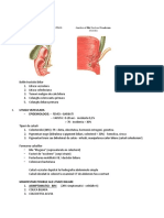 Patologia Cailor Biliare