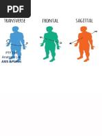 Chapter 1 The Human Body | PDF | Human Body | Blood