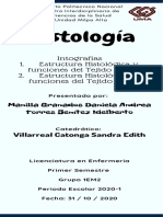 Intografías Estructura Histológica y Funciones Del Tejido Nervioso Estructura Histológica y Funciones Del Tejido Linfoide-5