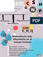 Infografía 1 PDF