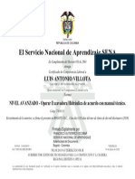 Certificado Luis Villota