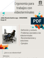 Ergonomia Con Videoterminales PDF