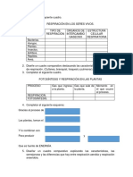 Tipos de respiración en organismos vivos