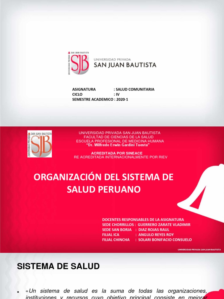 Organización del Sistema de Salud Peruano | PDF | Hospital | Sistema de ...