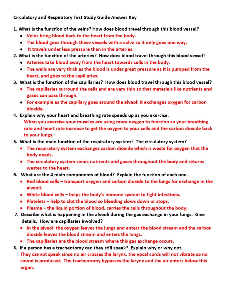 Circulatory and Respiratory Test Study Guide Answer Key | PDF ...