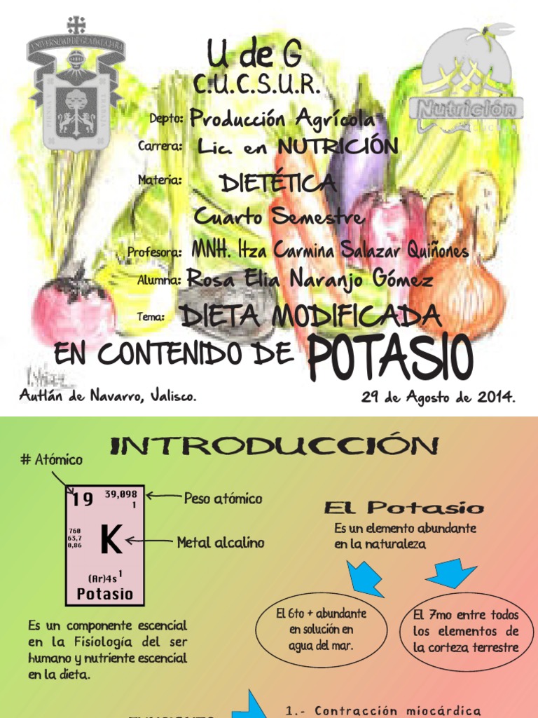Expo Potasio PDF | PDF | Potasio | Dieta y nutrición