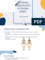 CAPITULO 6 Sistema Esqueletico Tejido Oseo