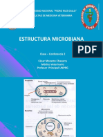 Estructura Microbiana
