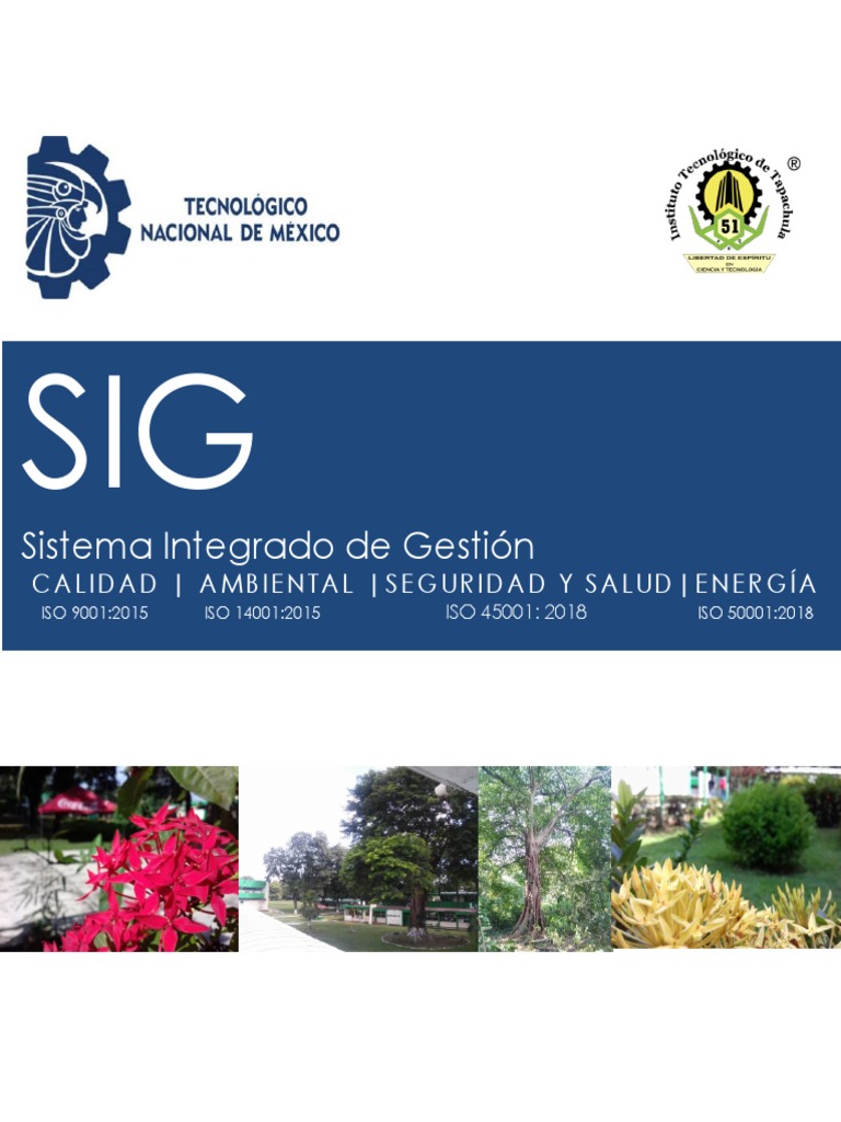 Manual del Sistema Integrado de Gestión ISO | PDF | Sistema de manejo ...