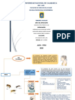 Primeros Auxilios en Picaduras