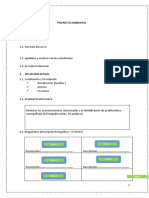 Estructura Proyecto Ambiental - Ep Iii