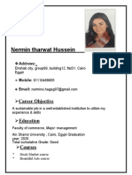 Nermin Tharwat Hussein: Career Objective