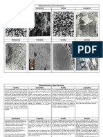 Microestructura y Fases Del Acero. Ferri PDF