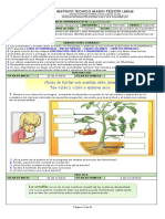 10.1 Guía N°10 La Germinación PDF