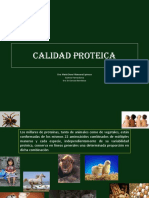 Calidad Proteica N-Ii