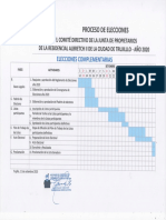 CRONOGRAMA ELECCIONES COMPLEMENTARIAS RESID ALBRECHT II - 2020