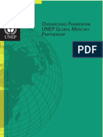 Overarching Framework Mercury Partnership (2009)