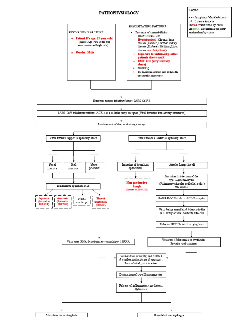 COVID-19 Pathophysiology and Management | PDF | Respiratory Tract | Lung