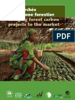 Bringing Forest Carbon Projects to the Market FR (2009)
