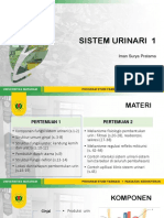 Sistem Urinari 1