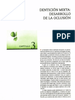 2. Dent mixta. desarrollo de oclusión