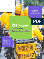 HSE Report PDF