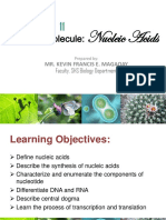 Organic Molecule:: Nucleic Acids