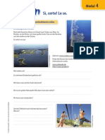 Idn2 Mod4 Ita Webquest PDF
