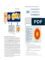 exercício biogeo 10º ano acreção_diferenciação