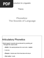 Articulatory Phonetics