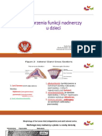 Nadnercza CMKP Prof. Bik