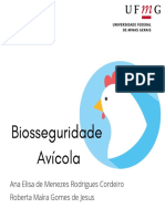 Biosseguridade Avícola