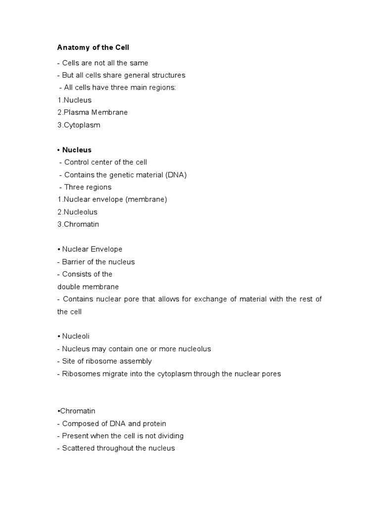Cell Structure and Function Overview | PDF | Cell Nucleus | Cell (Biology)