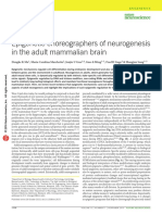 Epigenetic Choreographers of Neurogenesis in The Adult Mammalian Brain PDF