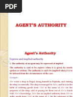 Agent Authority