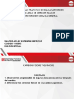 Practica 8. Cambios Fisicos y Quimicos Walter Esteban 1192915