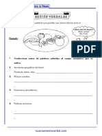 11 Series Verbales Sexto de Primaria PDF