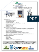 Chequeador de Peso Dinamico PDF