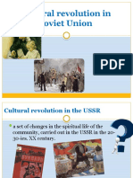 Cultural Revolution in Soviet Union