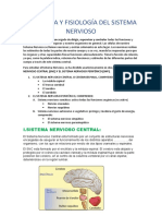 ANATOMIA Yfisiologia Del Sistema Nervioso