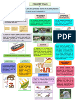 Mapa Conceptual CCNN