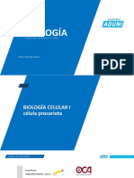 Biologia (Teoria de Celula Procariota)