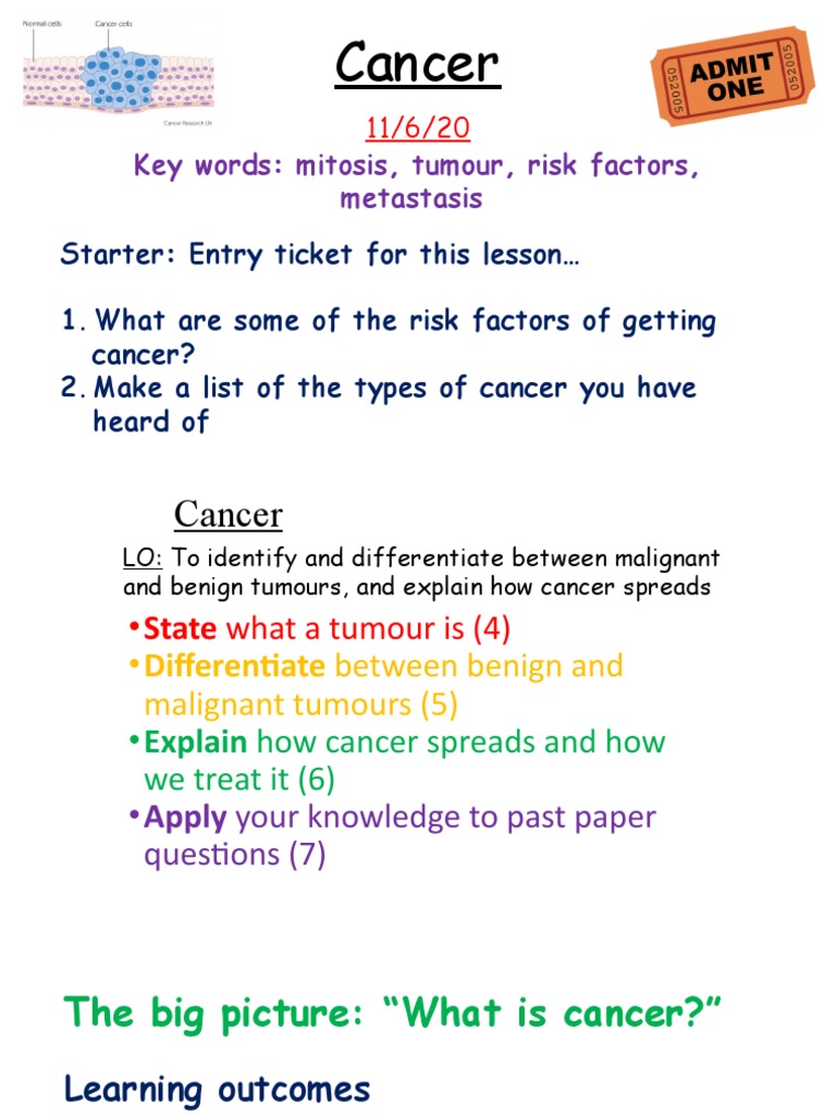 Cancer: Key Words: Mitosis, Tumour, Risk Factors, Metastasis | PDF ...
