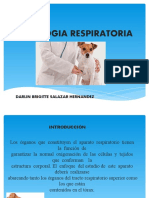 SEMIOLOGIA RESPIRATORIA Expo